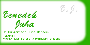 benedek juha business card